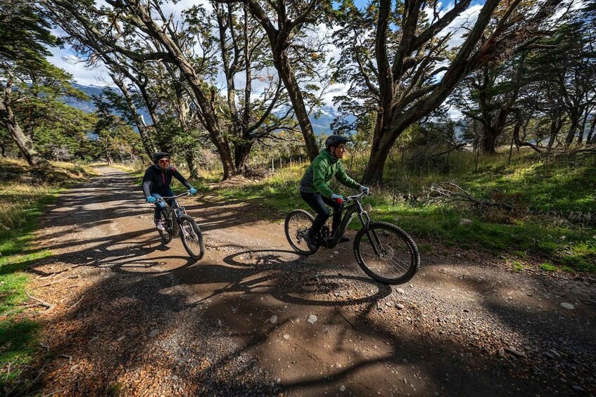Two cyclists on a dirt trail surrounded by trees. 5