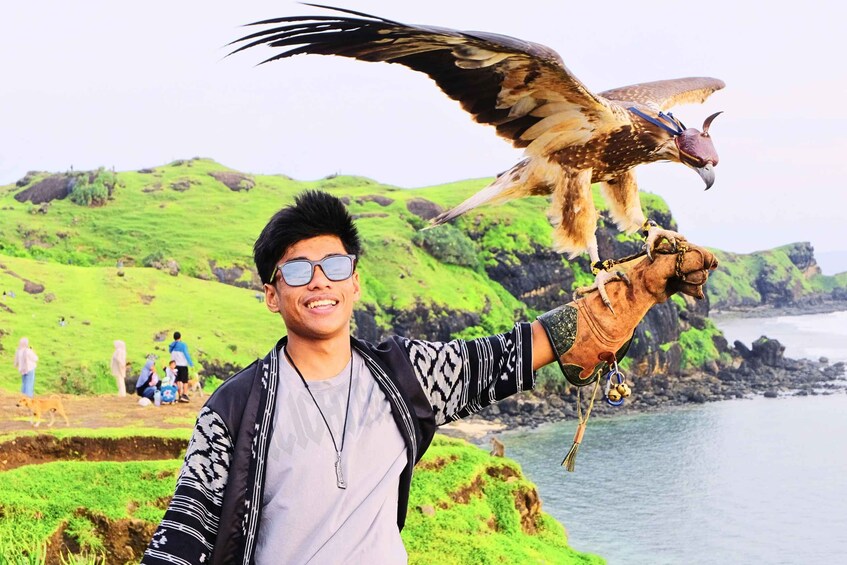 A person holding a bird of prey with a coastal landscape in the background. 4