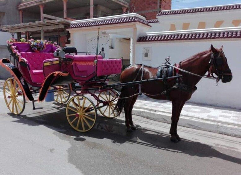 Picture 2 for Activity Mahdia: horse carriage ride & seaside tour with pickup 1