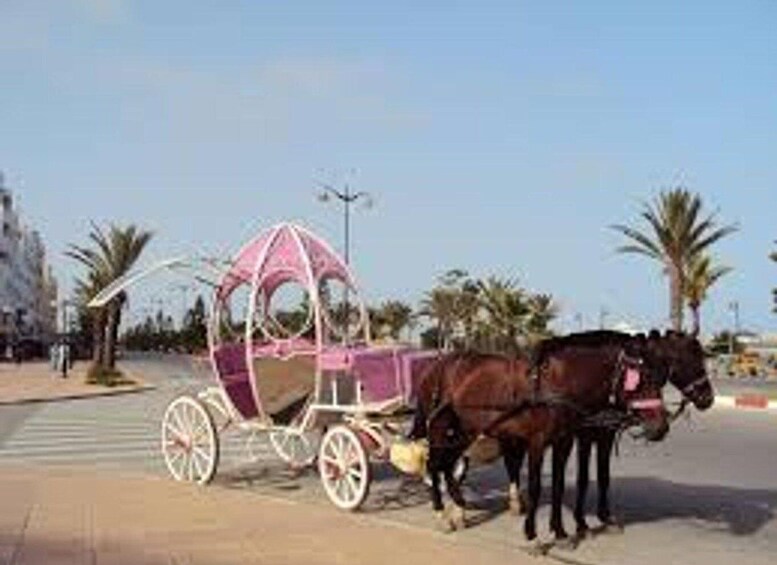 Picture 3 for Activity Mahdia: horse carriage ride & seaside tour with pickup 3