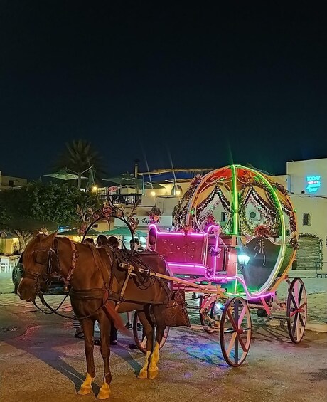 Mahdia: horse carriage ride & seaside tour with pickup 2