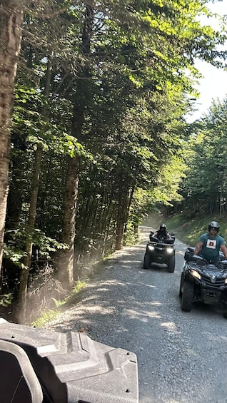A dirt road flanked by trees, with two off-road vehicles in motion. 2