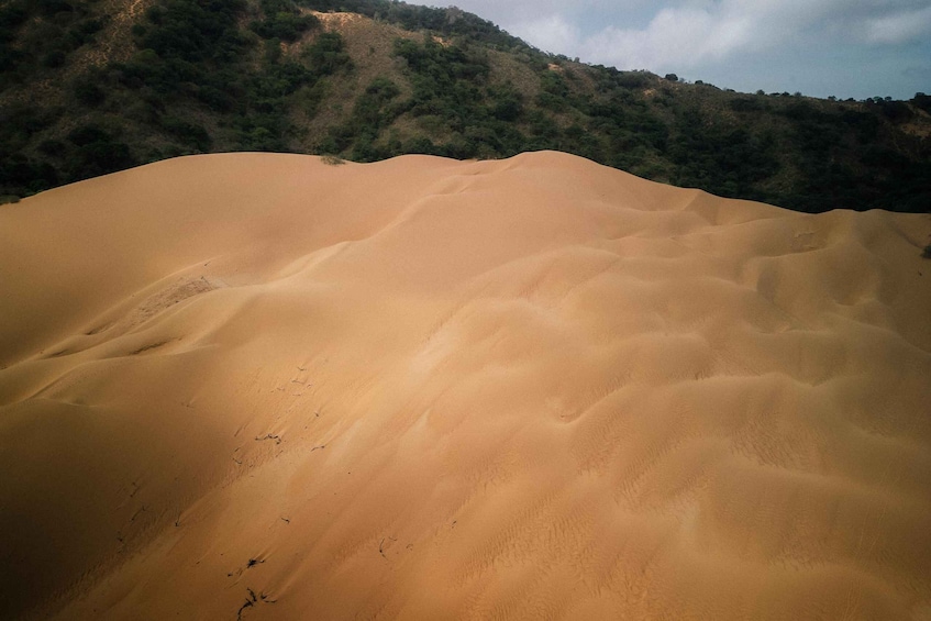 A vast sand dune landscape with undulating sand patterns and sparse vegetation on the hillside in the background. 1