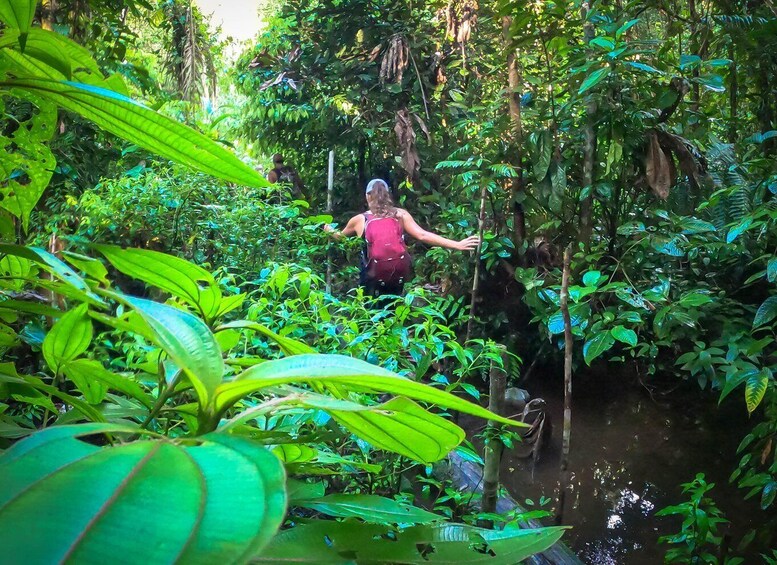 A person in a red shirt navigating through dense green foliage and a small water body. 3