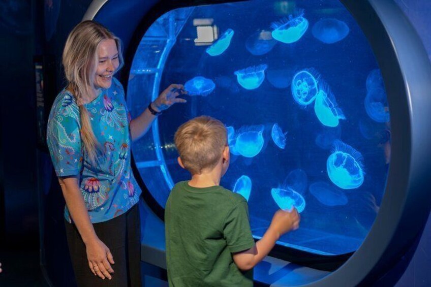 SEA LIFE Kelly Tarlton's General Admission 1