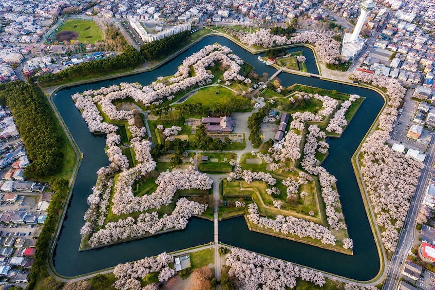 An aerial view of a park with a lake, surrounded by residential buildings. 5
