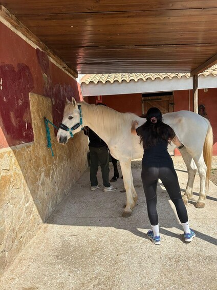 Picture 2 for Activity Horseback Riding Tour and Experience in Buñol 3