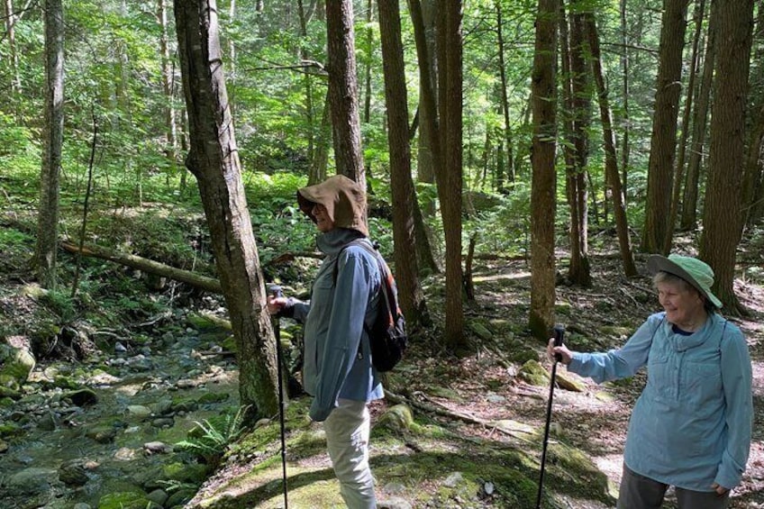 Private Guided Berkshire Mountains Hike with Scenic Views 3