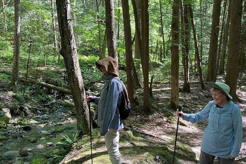 Two people hiking in a forest with trees and a stream. 5