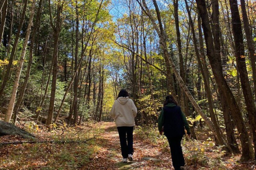 Two people walking on a forest path surrounded by trees. 4