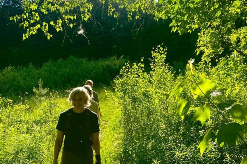 A person walking through a forested area with sunlight filtering through the trees. 3