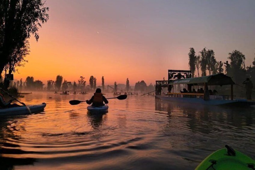 Kayaking at Dawn in Xochimilco Breakfast and Ajolotes 1