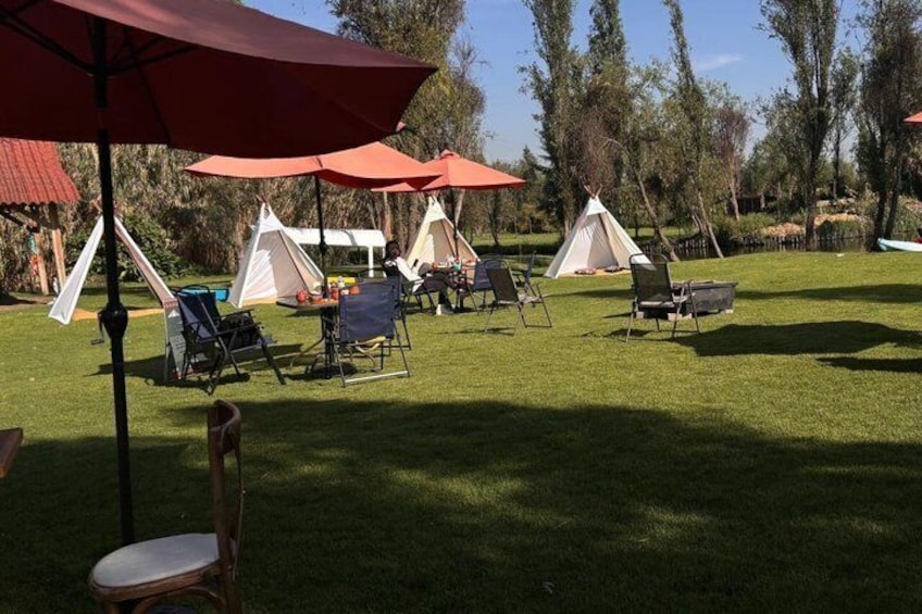 Kayaking at Dawn in Xochimilco Breakfast and Ajolotes 4