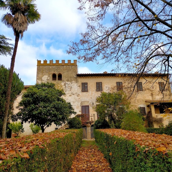 A historic building with a tower, surrounded by trees and a pathway covered with fallen leaves. 4