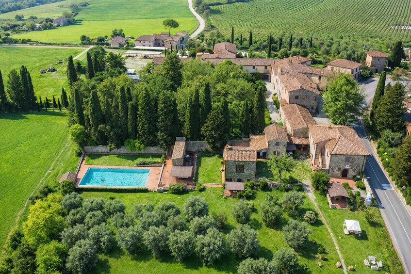 A rural estate with a swimming pool, olive groves, and terraced vineyards. 5