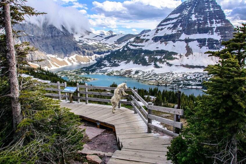 A wooden boardwalk leading to a viewpoint overlooking a mountain lake with snow-capped peaks. 5