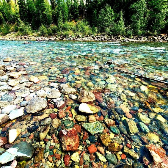 A clear river with colorful rocks and a forested riverbank. 3