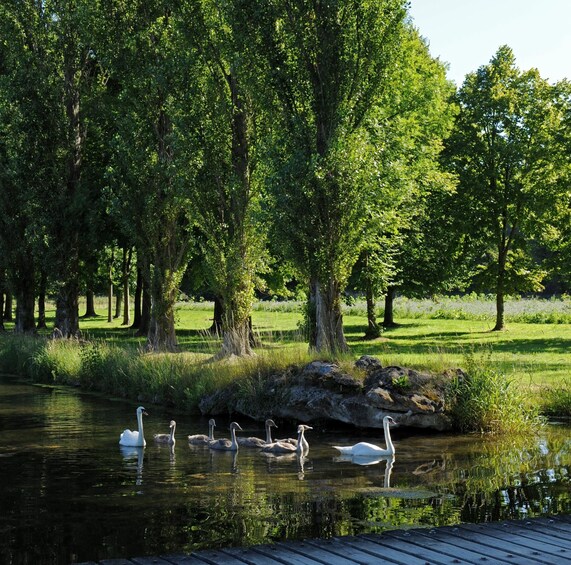 Picture 6 for Activity Chantilly: Château de Chantilly Park Entry Ticket 2