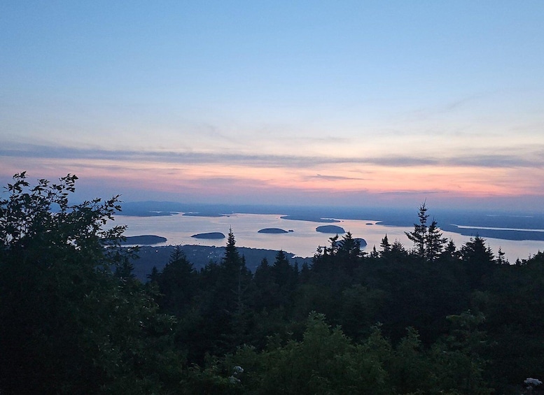 A coastal landscape with multiple islands surrounded by water and dense forest. 3