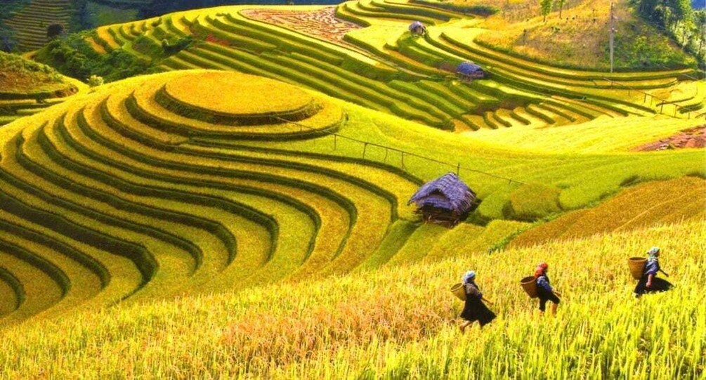 From Hanoi: Mai Chau Valley Cycling & Culture Day Trip 1