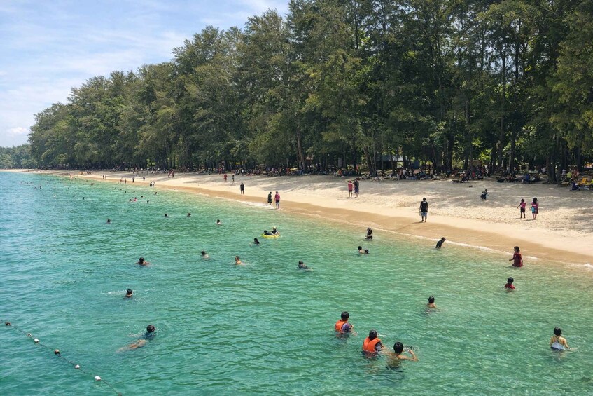 A beach with people swimming and sunbathing, surrounded by dense trees. 5