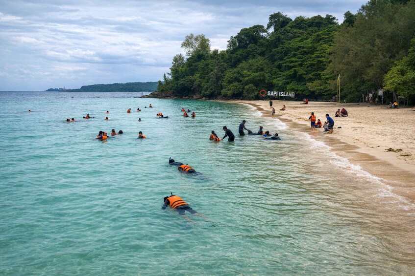 A beach with people swimming and snorkeling, a sign reading 'SAPI ISLAND', and a forested area in the background. 2