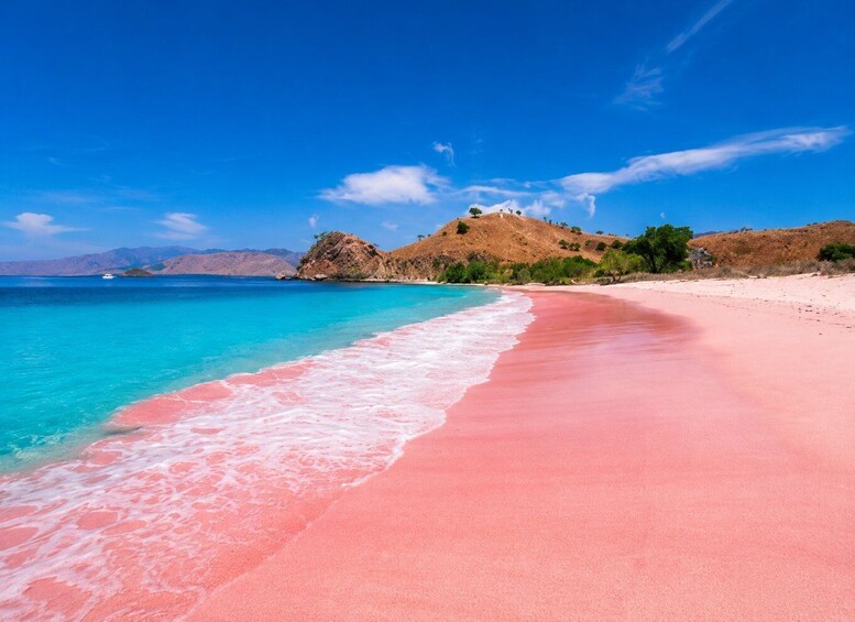 Lombok: Pink Beach & Gili Petelu Snorkeling Day Trip 2