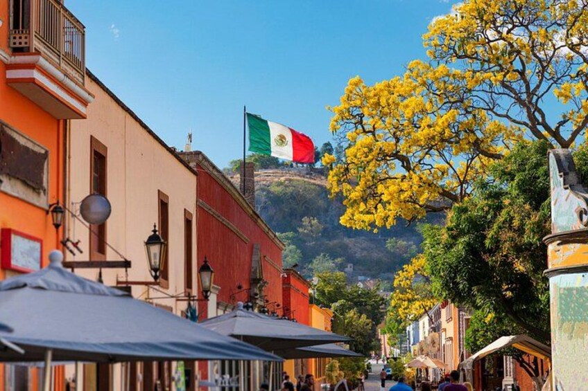 A street with buildings, a flag, and a tree with yellow flowers. 3