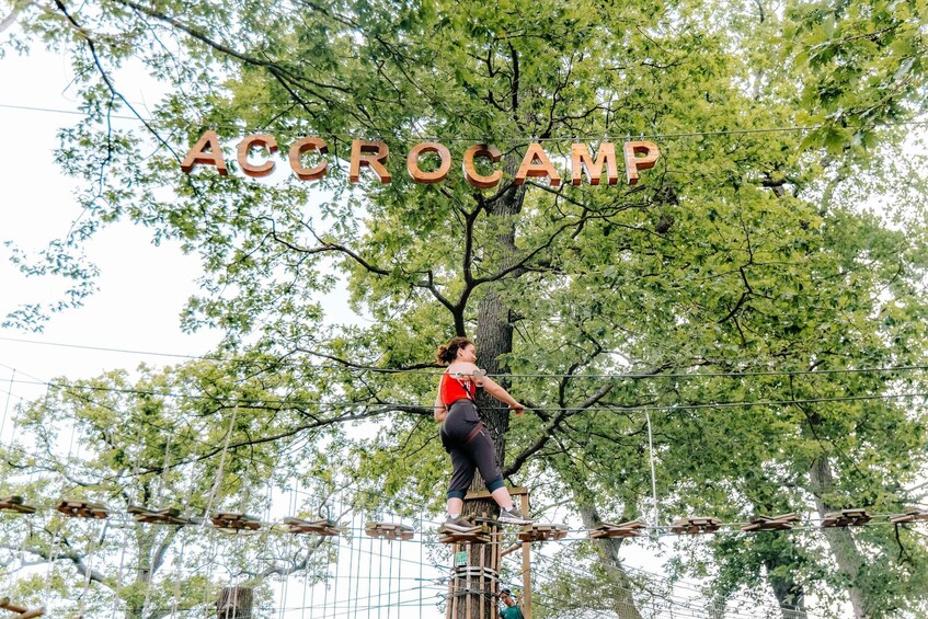Picture 2 for Activity AccroCamp Rueil-Malmaison: Family Treetop Adventure 2