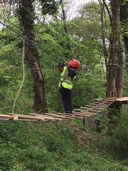 AccroCamp Rueil-Malmaison: Family Treetop Adventure 1