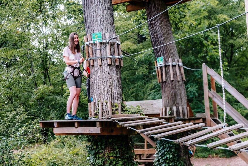Picture 3 for Activity AccroCamp Rueil-Malmaison: Family Treetop Adventure 3