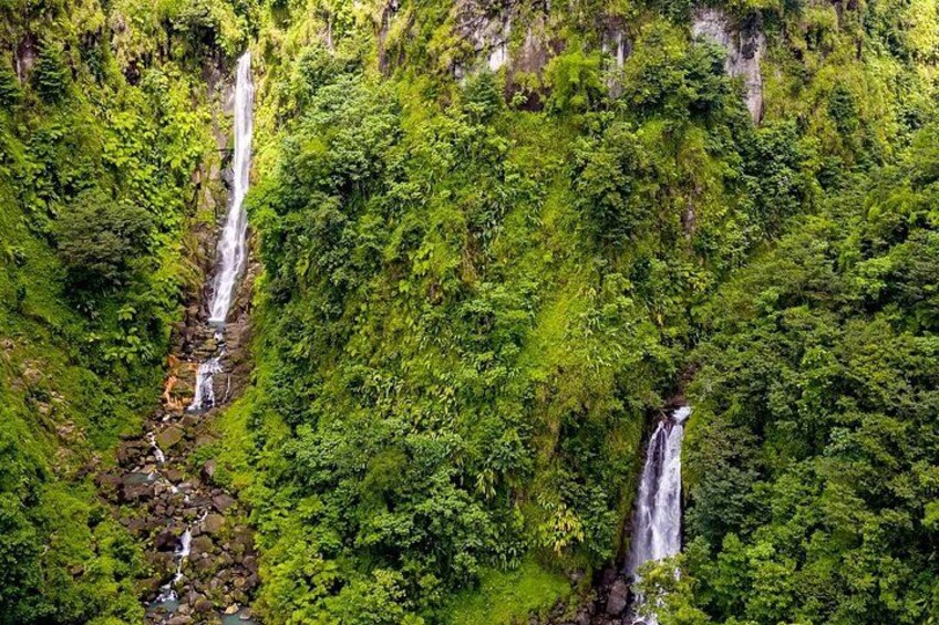 A lush green forest with two waterfalls. 3