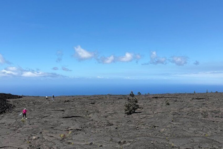 A volcanic landscape with scattered individuals, a clear sky, and distant ocean. 2