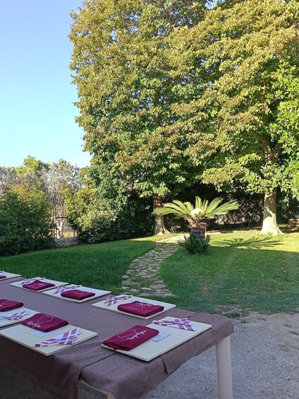 A table set outdoors with a garden in the background. 4
