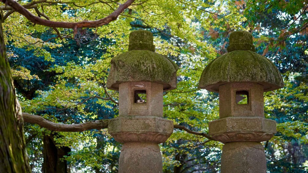 Picture 4 for Activity Nara World Heritage: Asuka E-Bike & Megalith Cycling Tour 4