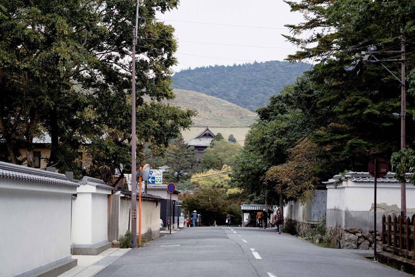 Picture 2 for Activity Nara World Heritage: Asuka E-Bike & Megalith Cycling Tour 5
