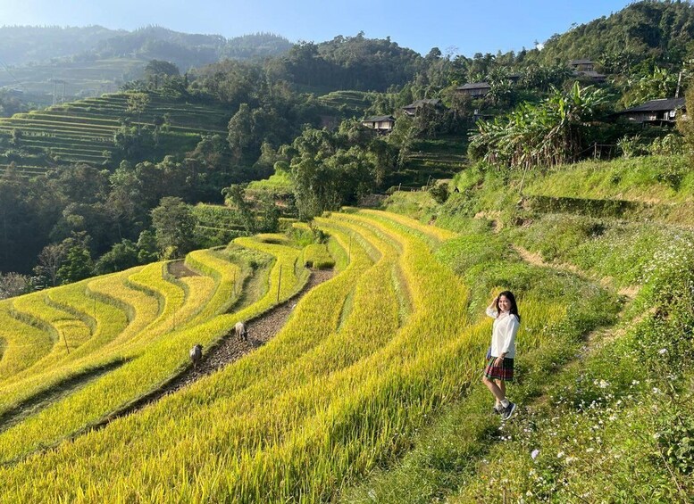 Terraced rice fields, a person walking, and traditional houses on a hillside. 3
