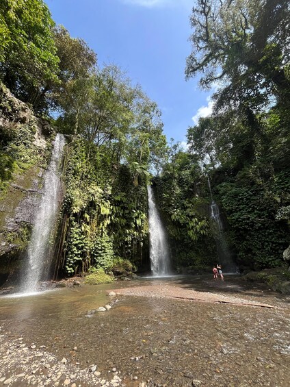 A waterfall in a forested area with clear water and rocky ground. 3