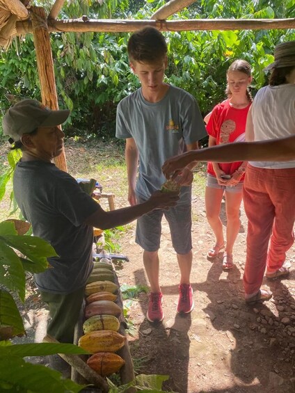 A person handing a banana to another person in a rural setting with a wooden structure and banana bunches on the ground. 4