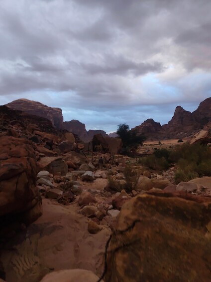 Picture 2 for Activity One Day Tour in Majestic Wadi Rum: Wadi Rum Jeep Adventure 2
