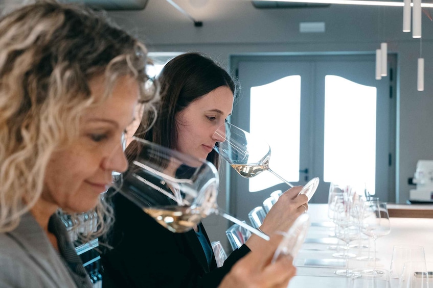 100% Garganega Experience in Soave Classico - Guided Tour and Wine Tasting 1