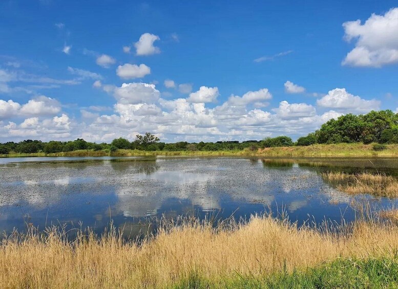 Picture 2 for Activity Dinokeng Big Five Safari Day Trip from Johannesburg 2