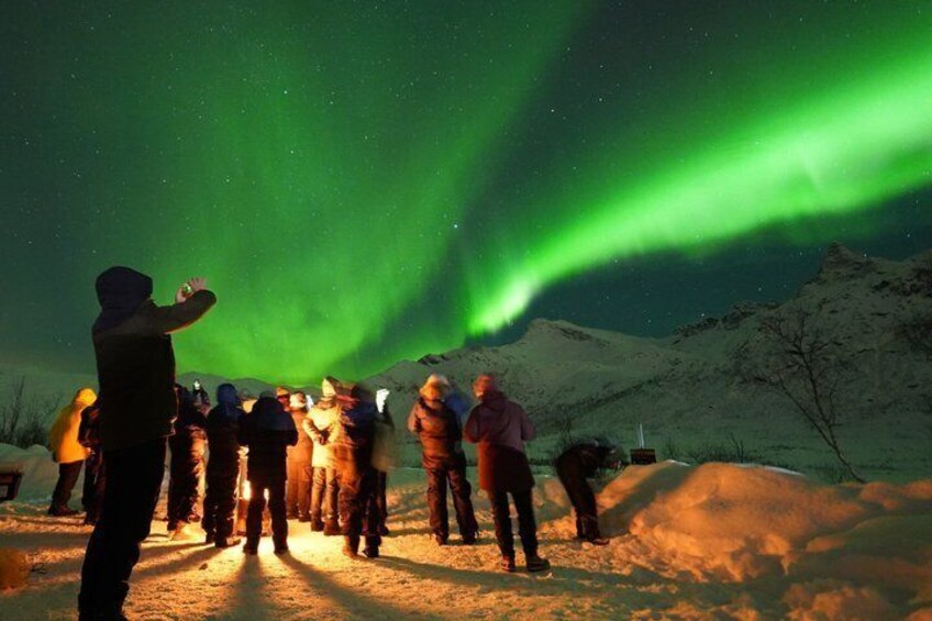 Northern Lights Chase by Bus from Tromsø 1