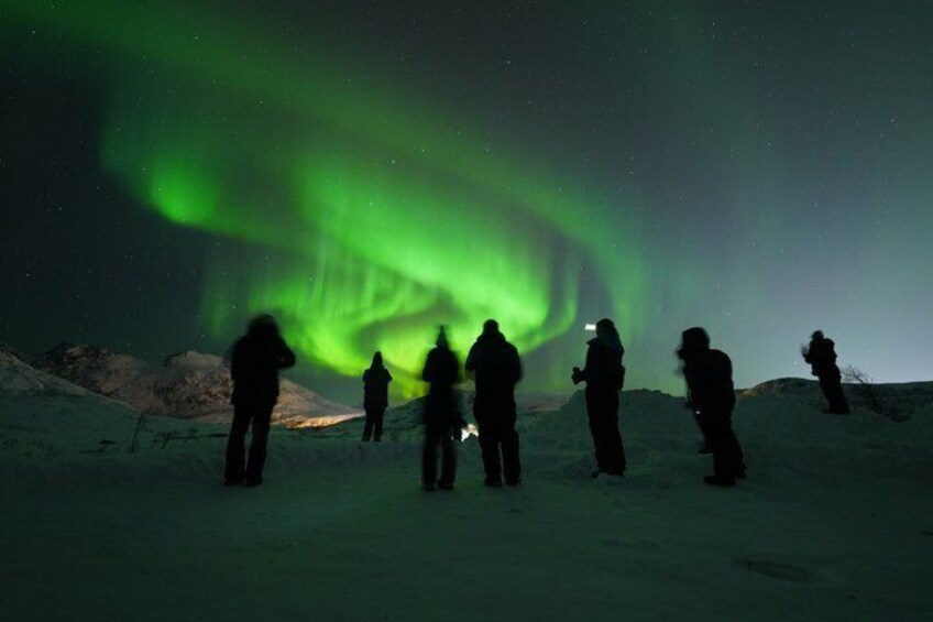 Northern Lights Chase by Bus from Tromsø 2