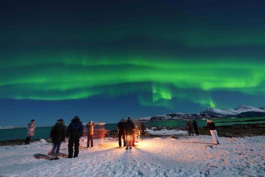 Northern Lights Chase by Bus from Tromsø 4
