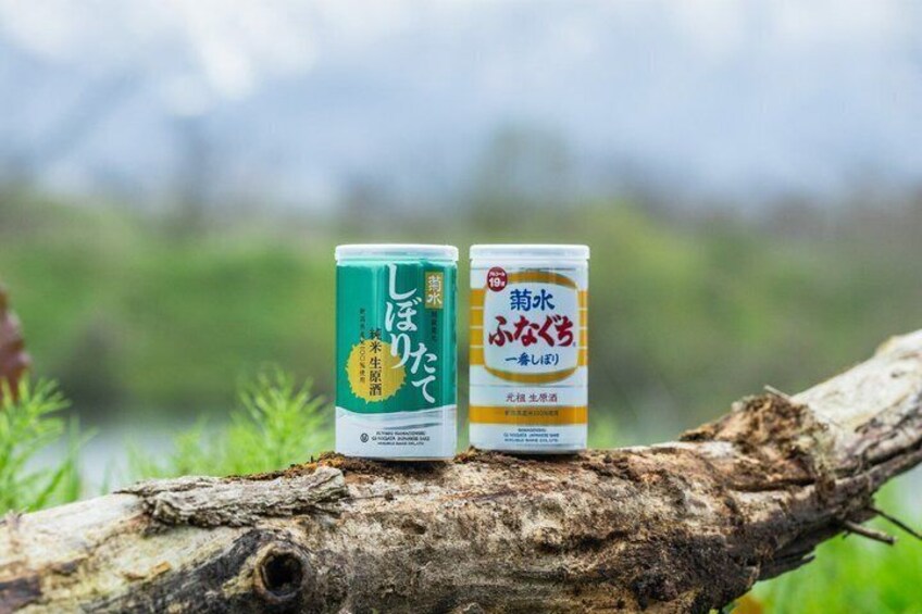 Two cans of beverage on a log with a blurred natural background. 3