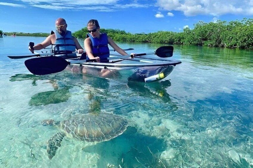 Two people kayaking on clear water with a sea turtle swimming nearby. 1