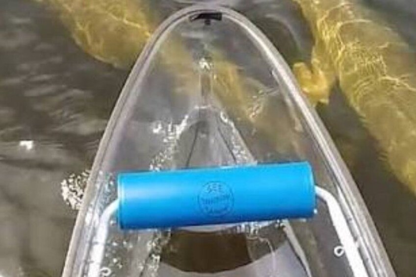 A kayak on water with a blue handle. 3