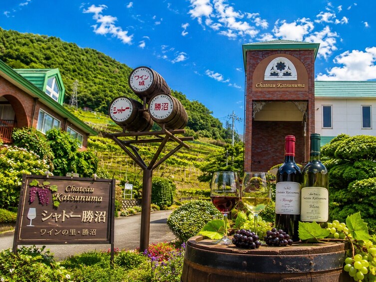 Mt. Fuji: Mishima Skywalk, Shine Muscat Picking & BBQ 5