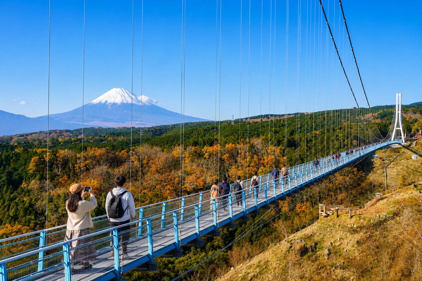 Mt. Fuji: Mishima Skywalk, Shine Muscat Picking & BBQ 1